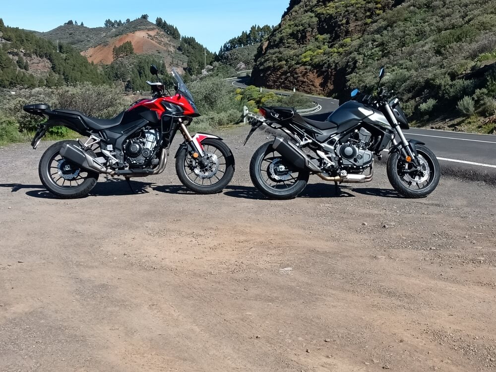 IMG20230308104236-2 svg+xml;charset=utf