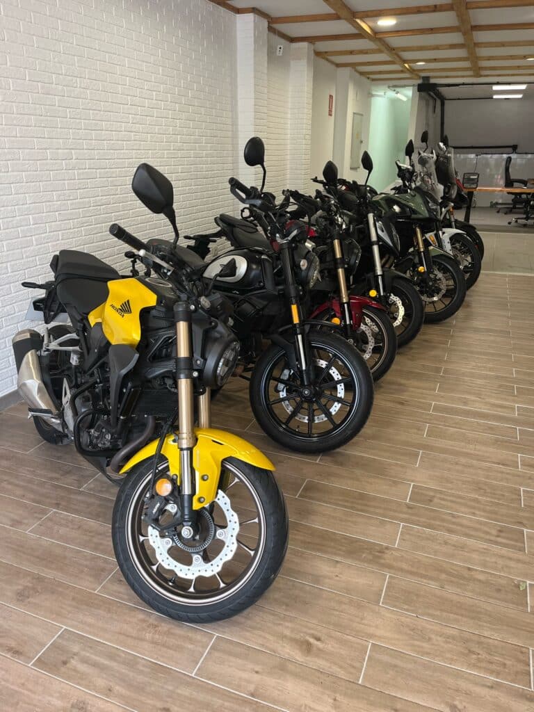 IMG_1656 svg+xml;charset=utf