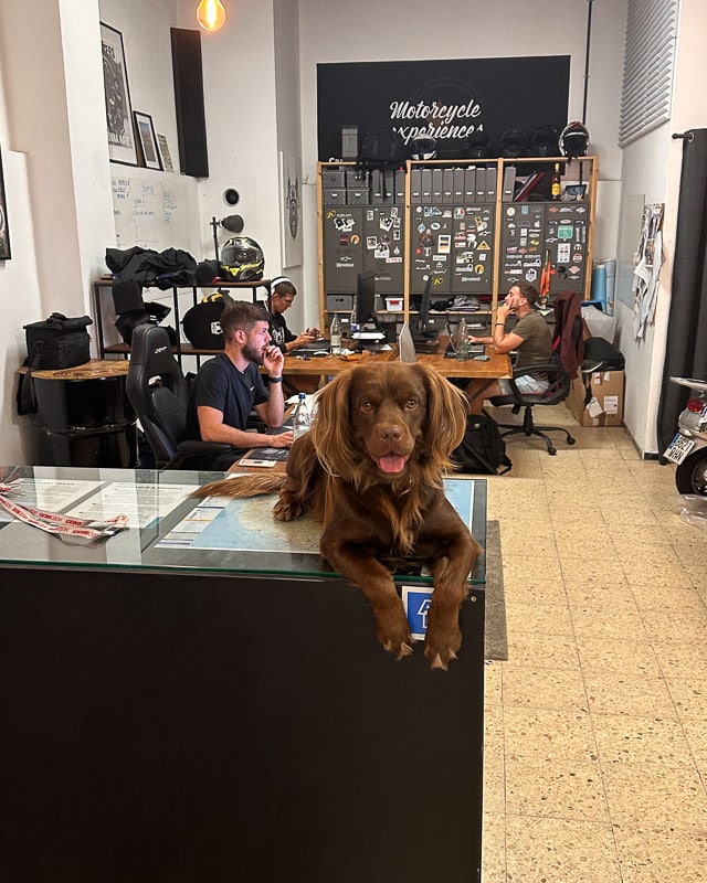 About Us 4 svg+xml;charset=utf