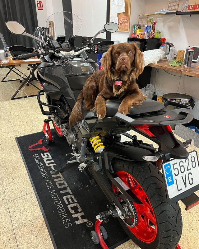 gran-canaria-las-palmas-office-canary-ride-4 svg+xml;charset=utf